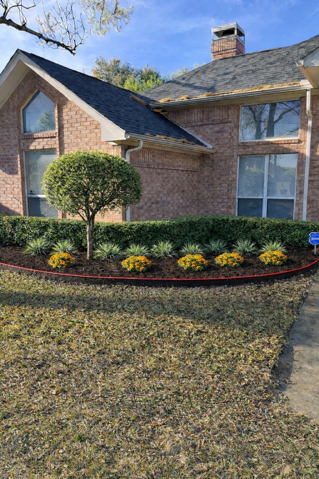 Landscaping project